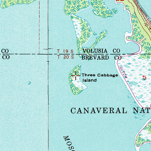 Topographic Map of Three Cabbage Island, FL