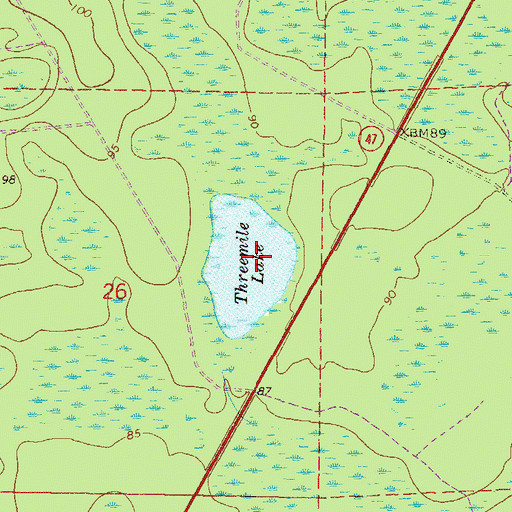 Topographic Map of Threemile Lake, FL