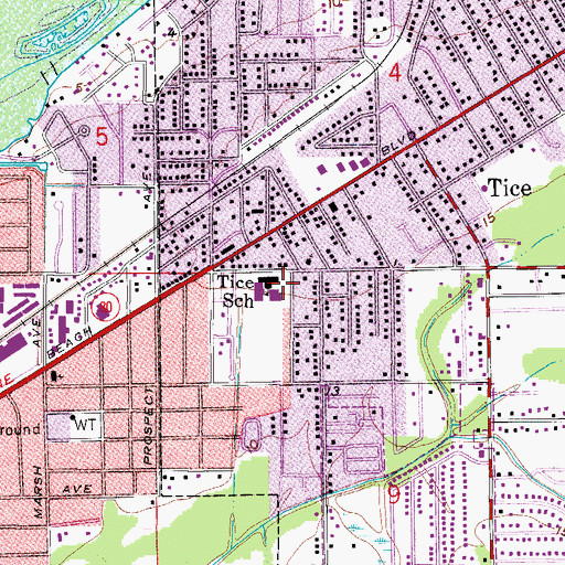 Topographic Map of Tice Elementary School, FL