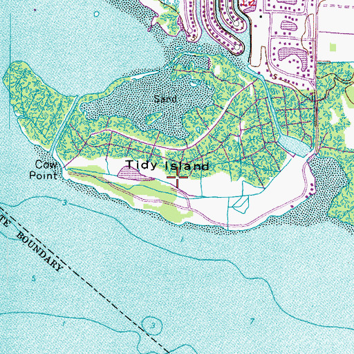 Topographic Map of Tidy Island, FL