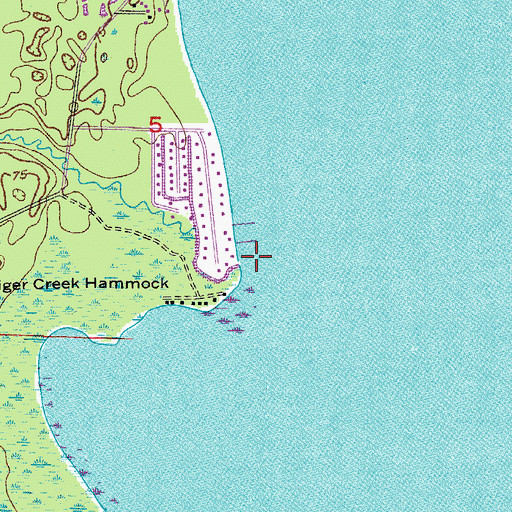 Topographic Map of Tiger Creek, FL