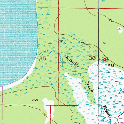 Topographic Map of Tiger Creek, FL