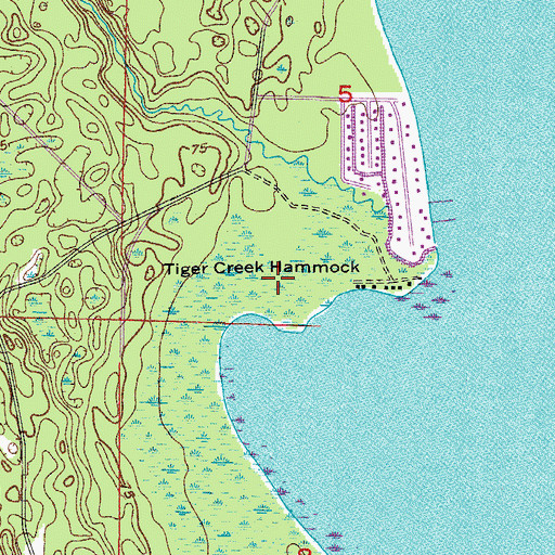 Topographic Map of Tiger Creek Hammock, FL