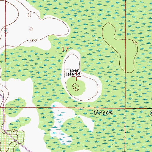 Topographic Map of Tiger Island, FL