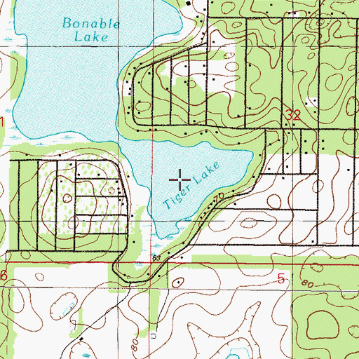 Topographic Map of Tiger Lake, FL