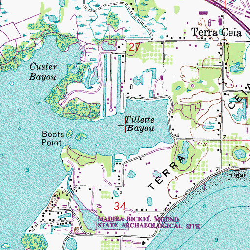 Topographic Map of Tillette Bayou, FL