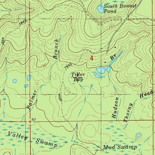 Topographic Map of Tiller Bay, FL