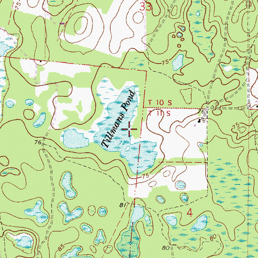 Topographic Map of Tillmans Pond, FL