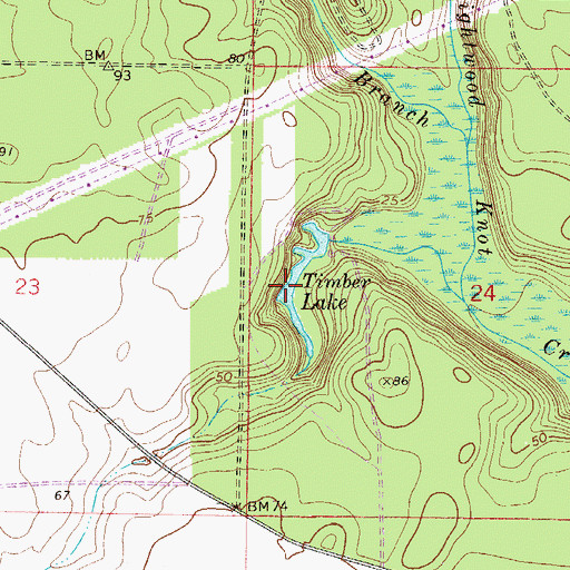 Topographic Map of Timber Lake, FL