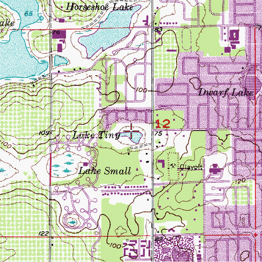 Topographic Map of Lake Tiny, FL