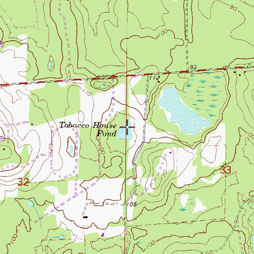 Topographic Map of Tobacco House Pond, FL