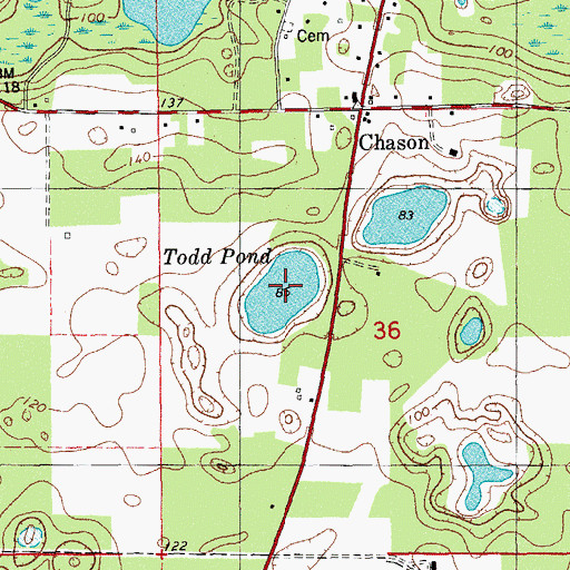 Topographic Map of Todd Pond, FL