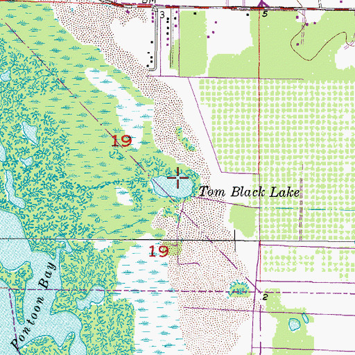 Topographic Map of Tom Black Lake, FL