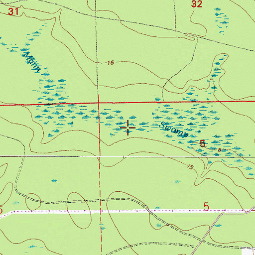Topographic Map of Tom Mann Swamp, FL