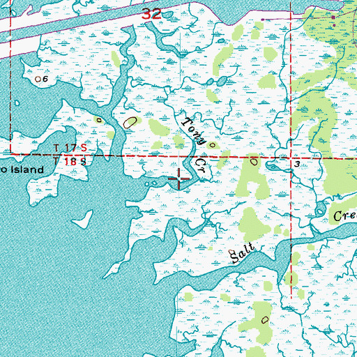 Topographic Map of Tony Creek, FL