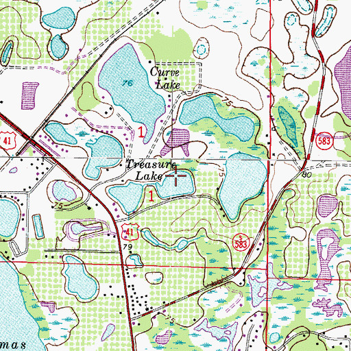 Topographic Map of Treasure Lake, FL