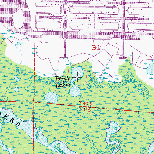 Topographic Map of Triple Lakes, FL