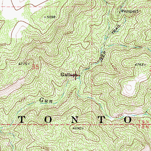 Topographic Map of Gallups, AZ