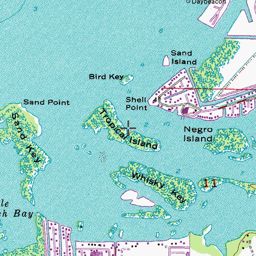 Topographic Map of Tropical Island, FL
