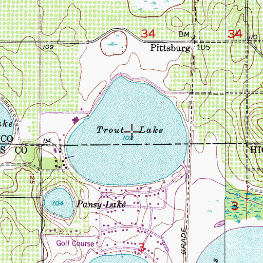 Topographic Map of Trout Lake, FL