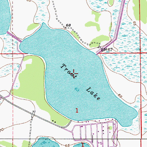 Topographic Map of Trout Lake, FL