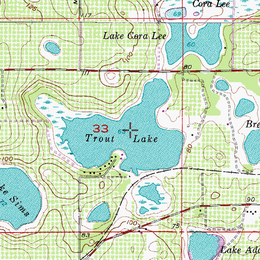 Topographic Map of Trout Lake, FL