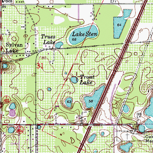 Topographic Map of Trout Lake, FL