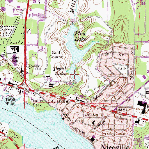 Topographic Map of Trout Lake, FL