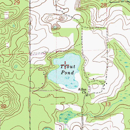 Topographic Map of Trout Pond, FL