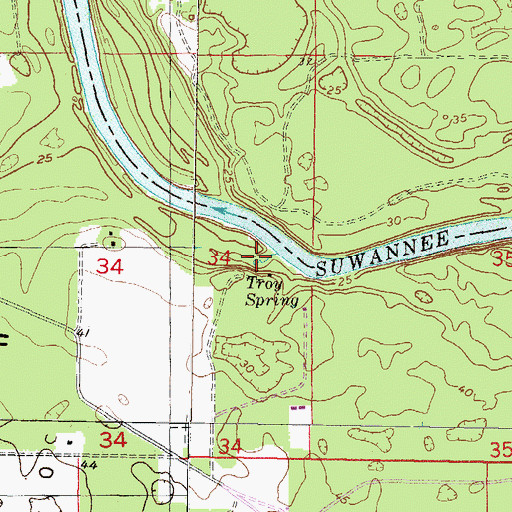 Topographic Map of Troy Spring, FL