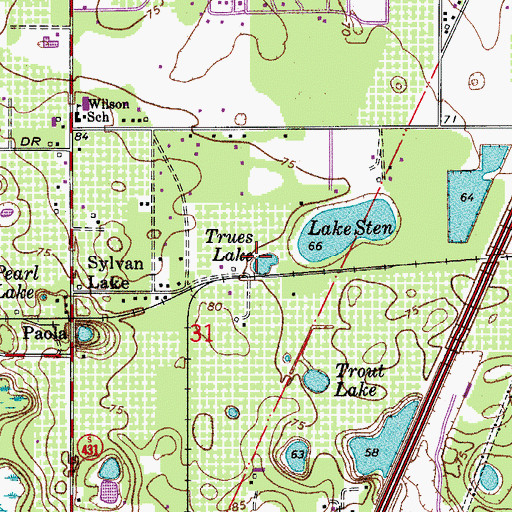 Topographic Map of Trues Lake, FL