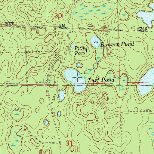Topographic Map of Turf Pond, FL