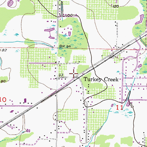Topographic Map of Turkey Creek, FL