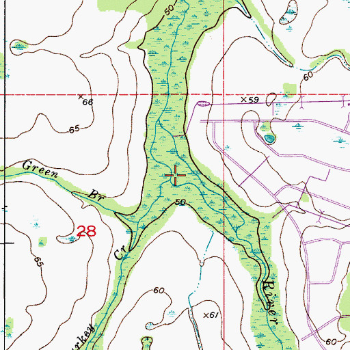 Topographic Map of Turkey Creek, FL