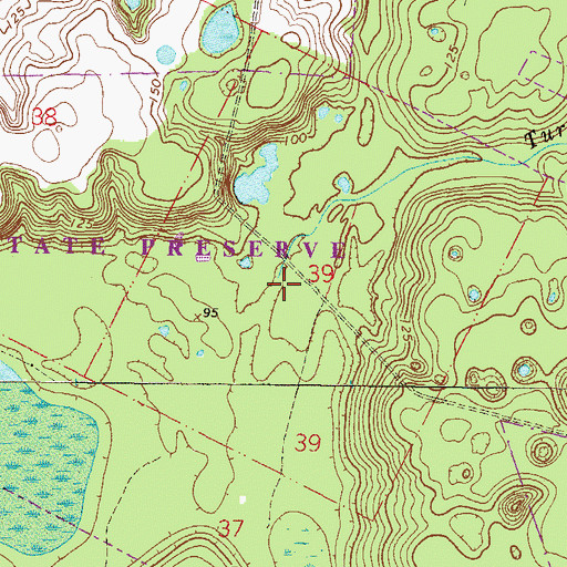 Topographic Map of Turkey Creek, FL