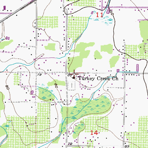 Topographic Map of Turkey Creek Church, FL