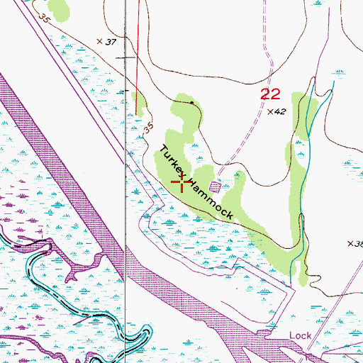 Topographic Map of Turkey Hammock, FL
