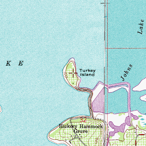 Topographic Map of Turkey Island, FL