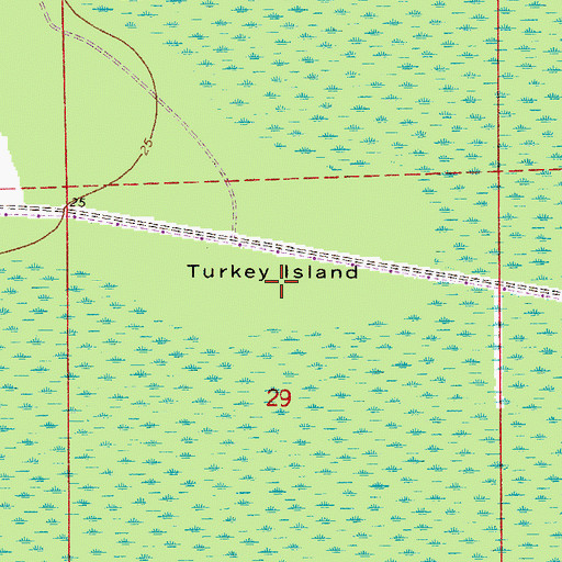 Topographic Map of Turkey Island, FL
