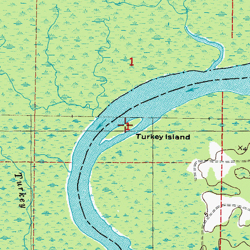 Topographic Map of Turkey Island, FL
