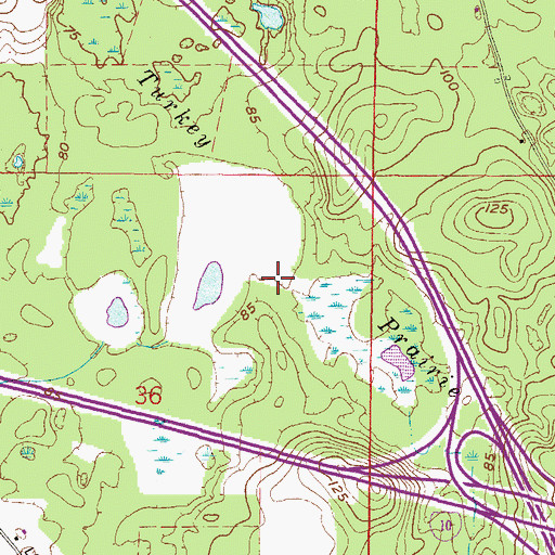 Topographic Map of Turkey Prairie, FL