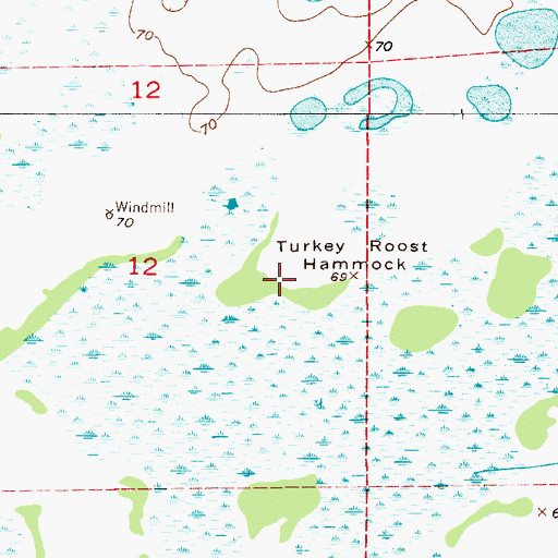 Topographic Map of Turkey Roost Hammock, FL