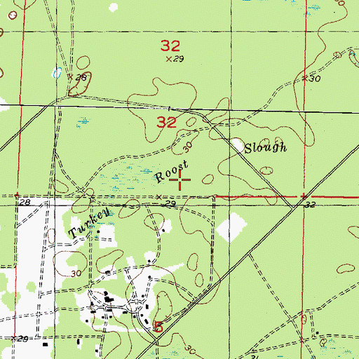 Topographic Map of Turkey Roost Slough, FL