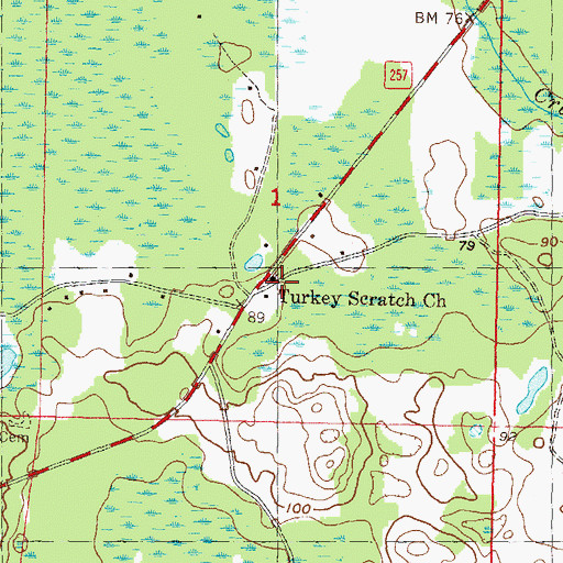 Topographic Map of Turkey Scratch Church, FL