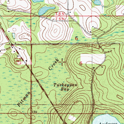 Topographic Map of Turkeypen Bay, FL