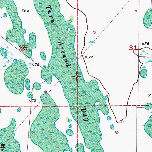 Topographic Map of Turn Around Bay, FL