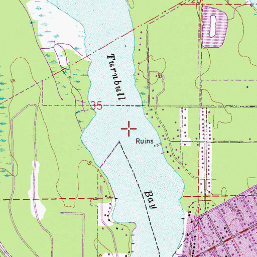 Topographic Map of Turnbull Bay, FL