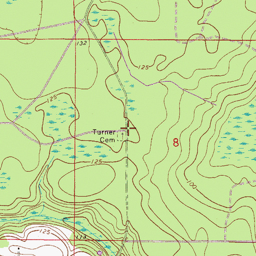 Topographic Map of Turner Cemetery, FL