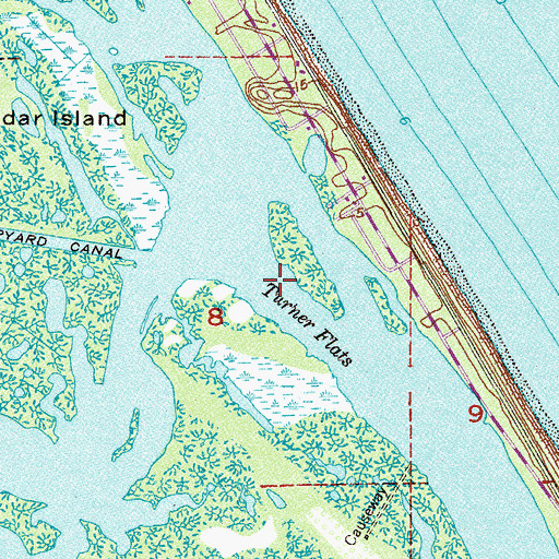 Topographic Map of Turner Flats, FL