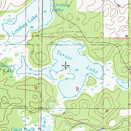 Topographic Map of Turner Lake, FL